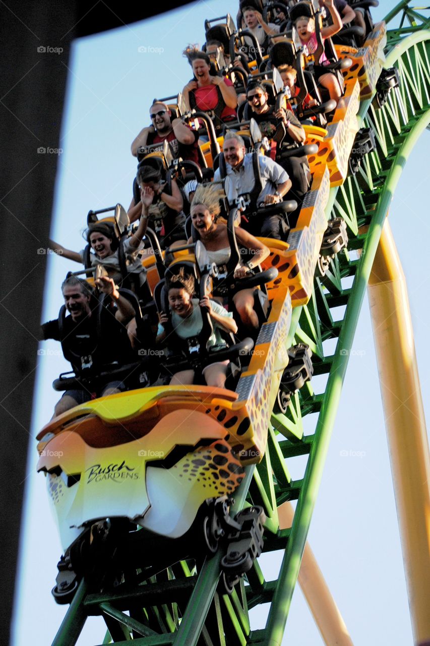 Cheetah Hunt Rollercoaster. Busch Gardens Tampa Florida