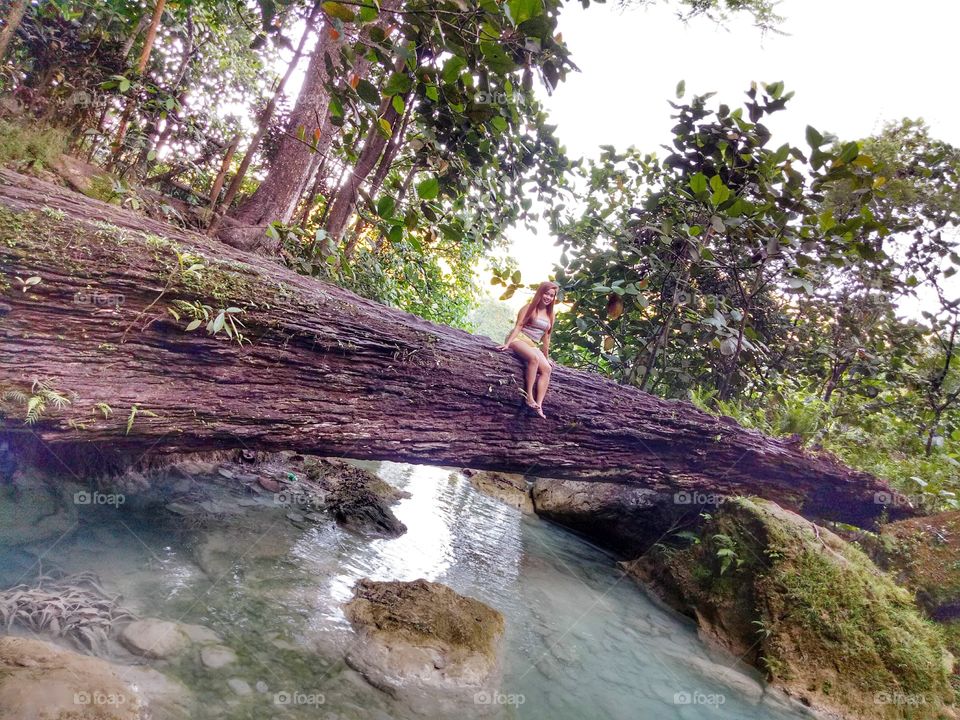 sitting on a big tree