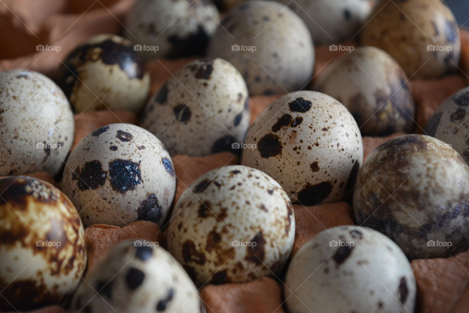 Close-up of eggs