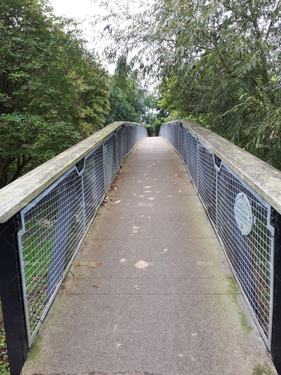 Narrow Footbridge