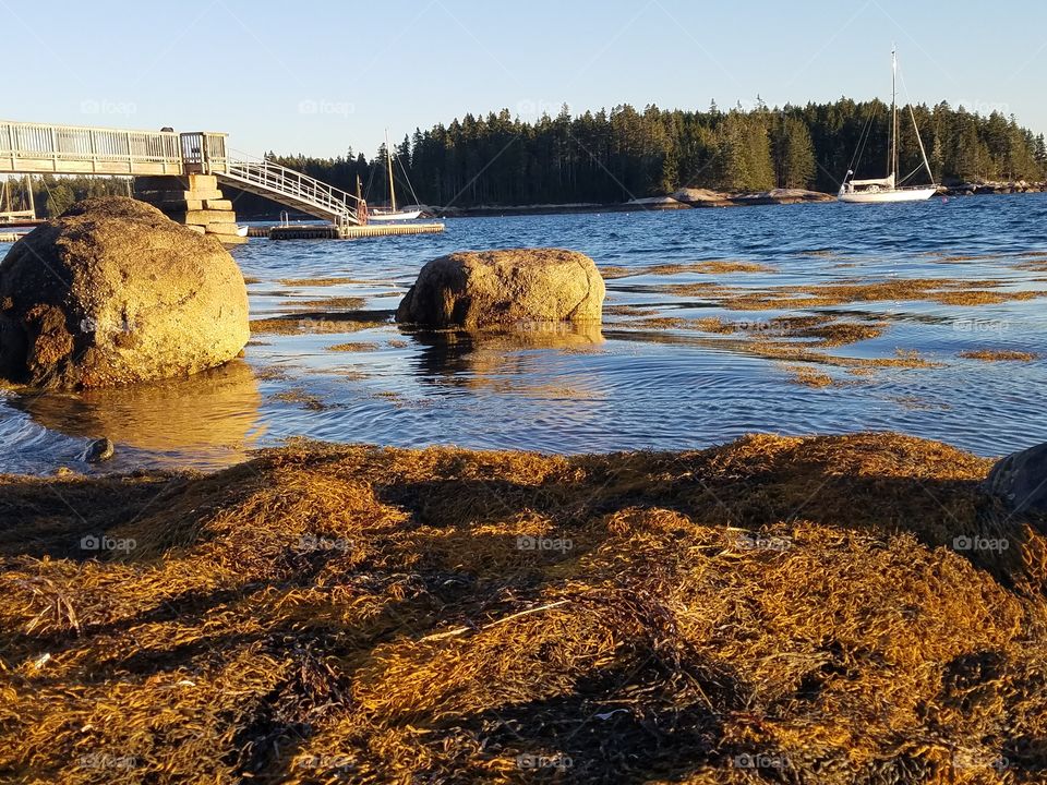 Sunset on the Harbor