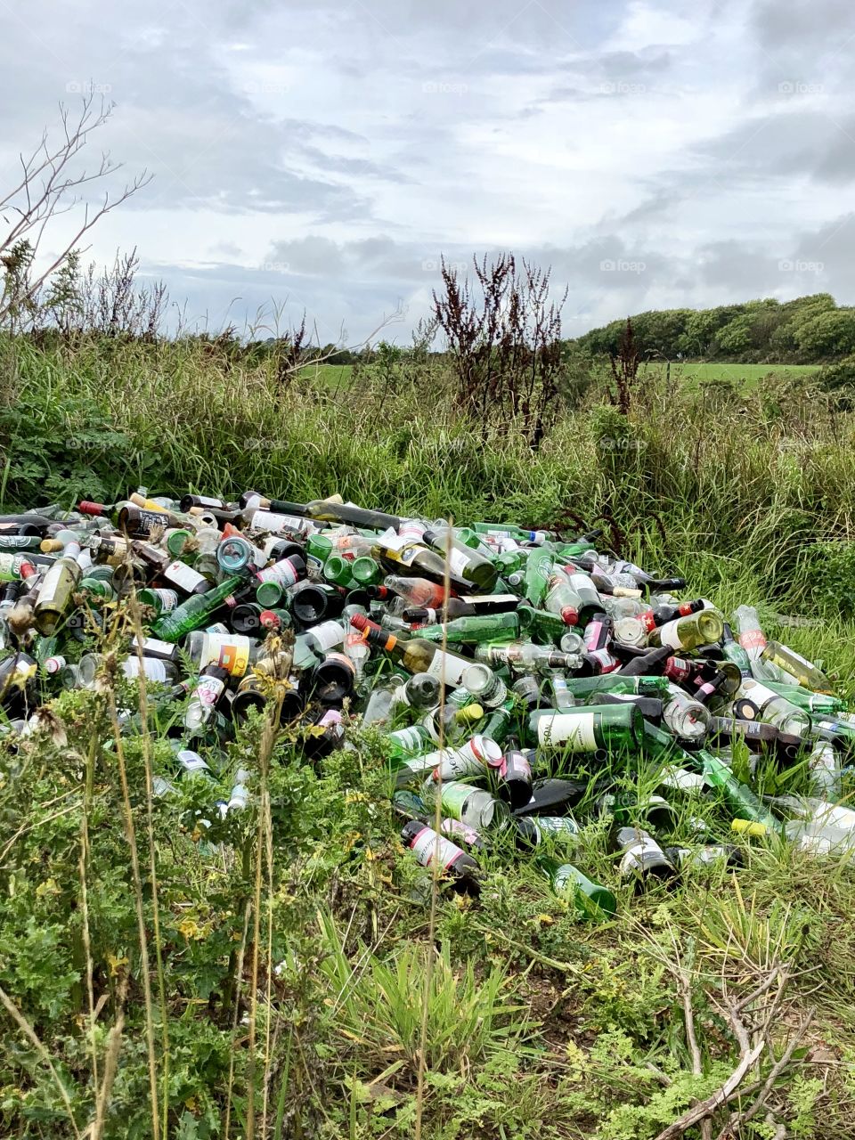 empty bottles and jars littering