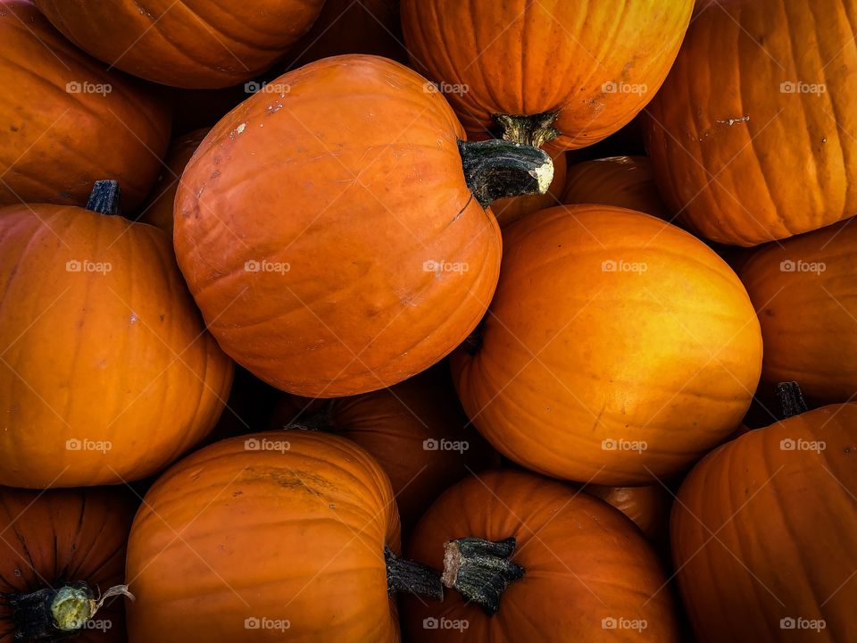 Pumpkins