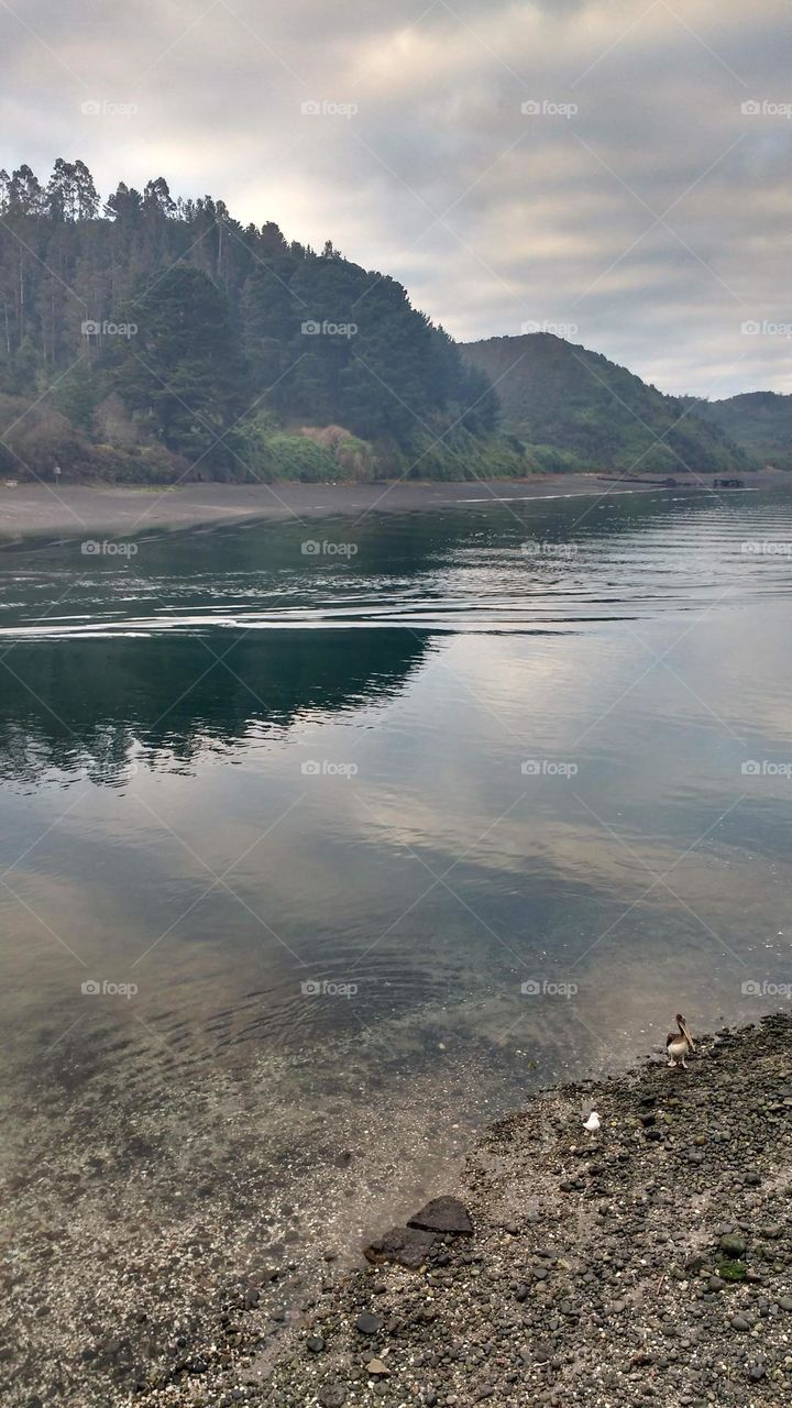 Una playa del sur de Chile!!!