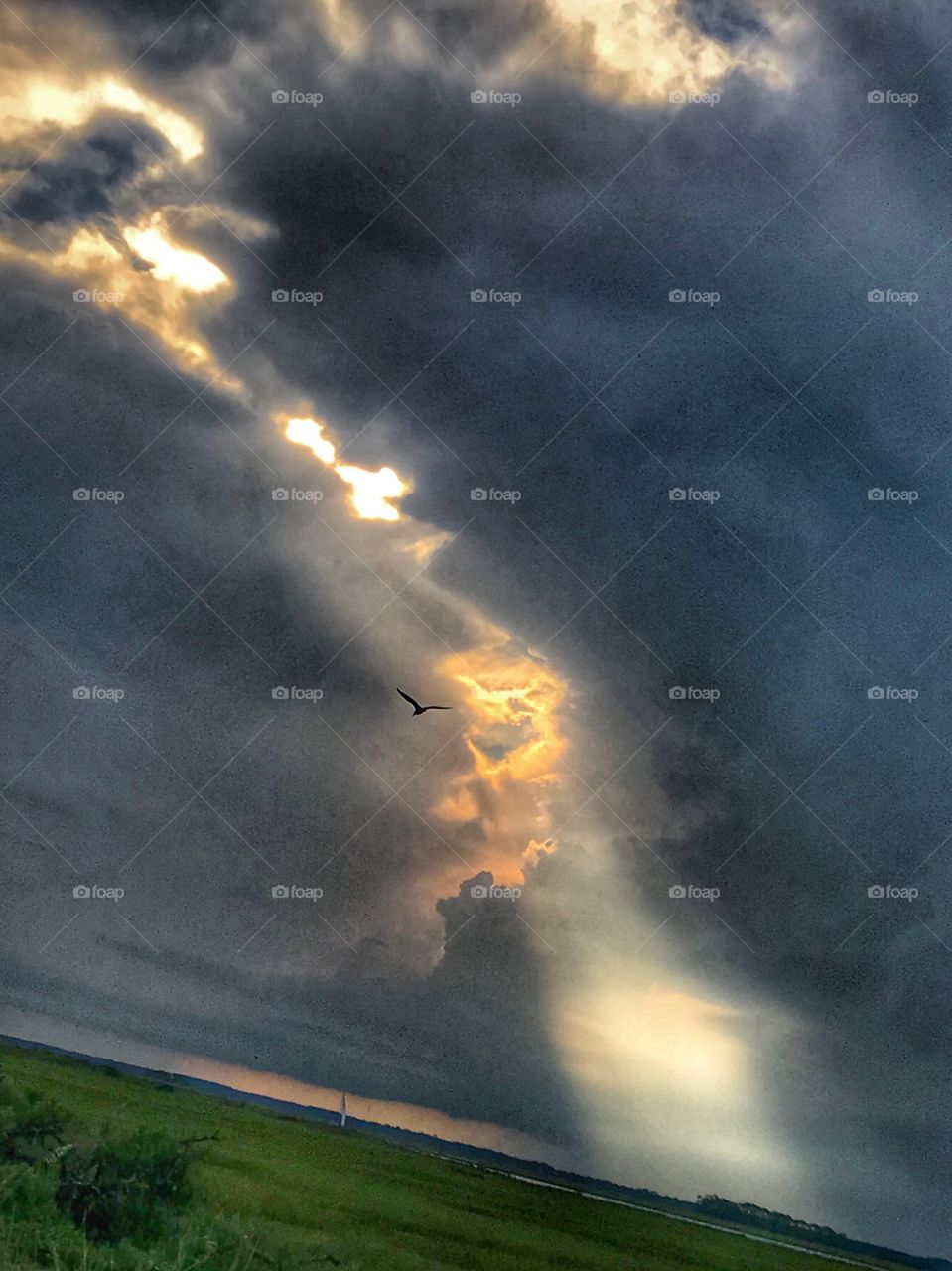 Seagull soaring in the clouds at breathtaking sunset 