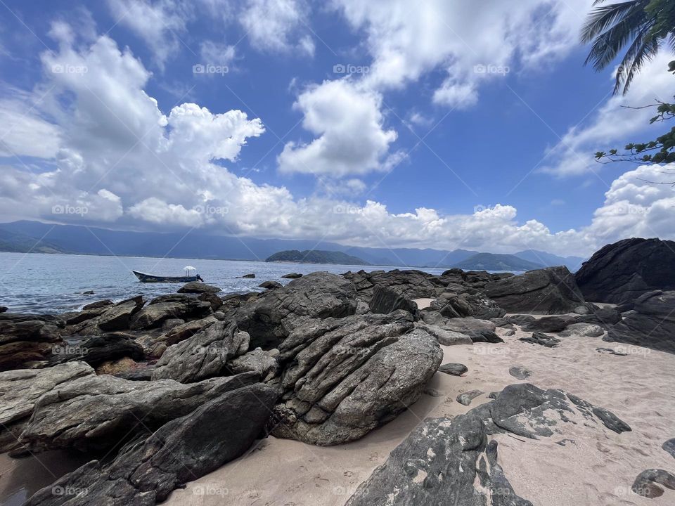 Brazil Ilha dos Gatos São Sebastião 