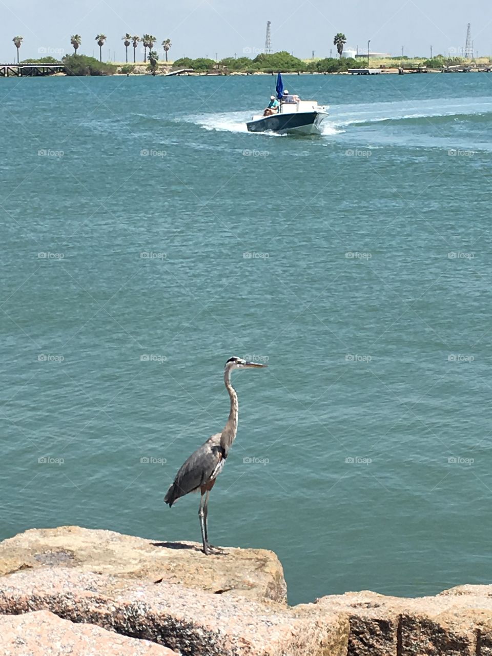 Port Aransas, Texas bay. 