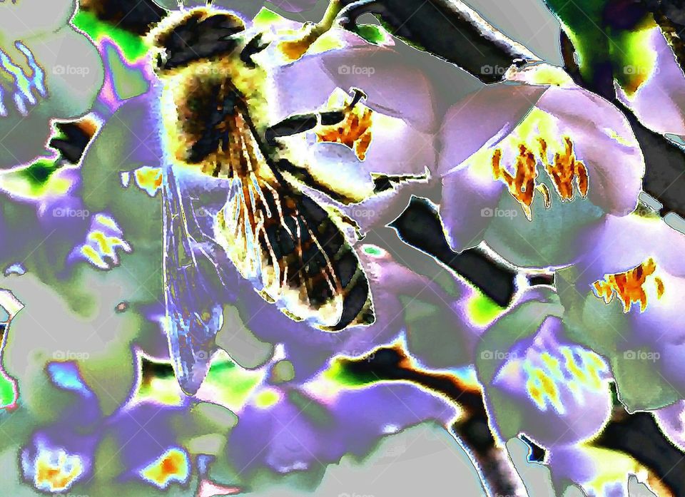 Autumn honeybee