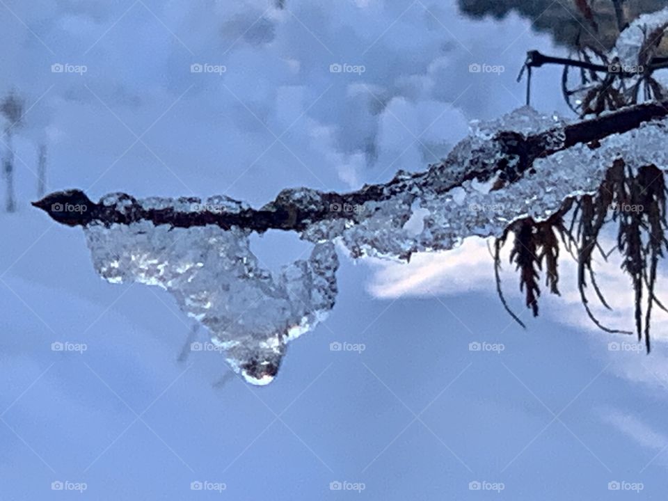 Ice Drops in Winter 