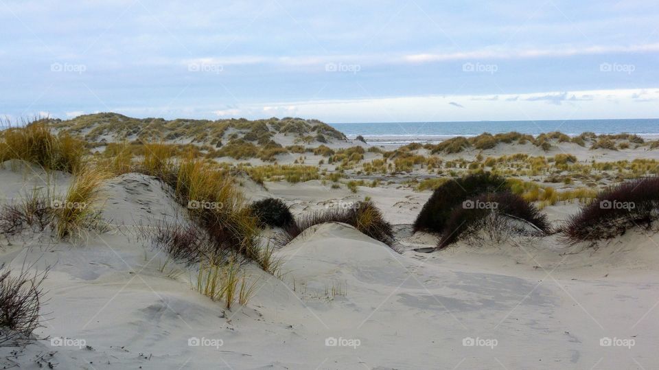 Dunes near the beach