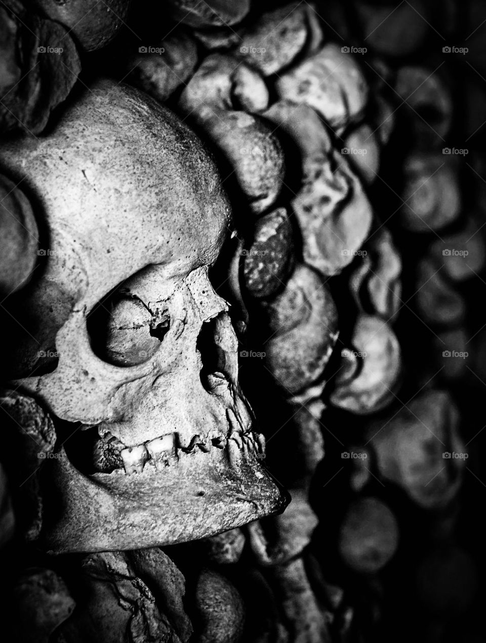 A human skull encased in a wall of leg bones.