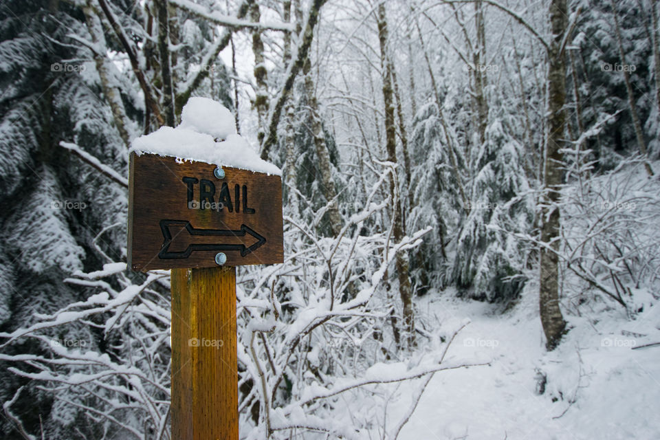 Winter Trail Adventure