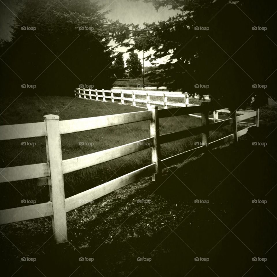 Country fence