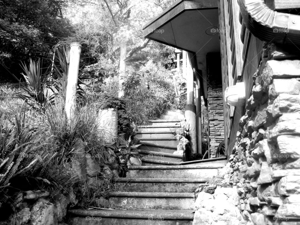 The steps leading up to our house on the hill. Done in black and white for an effective look.