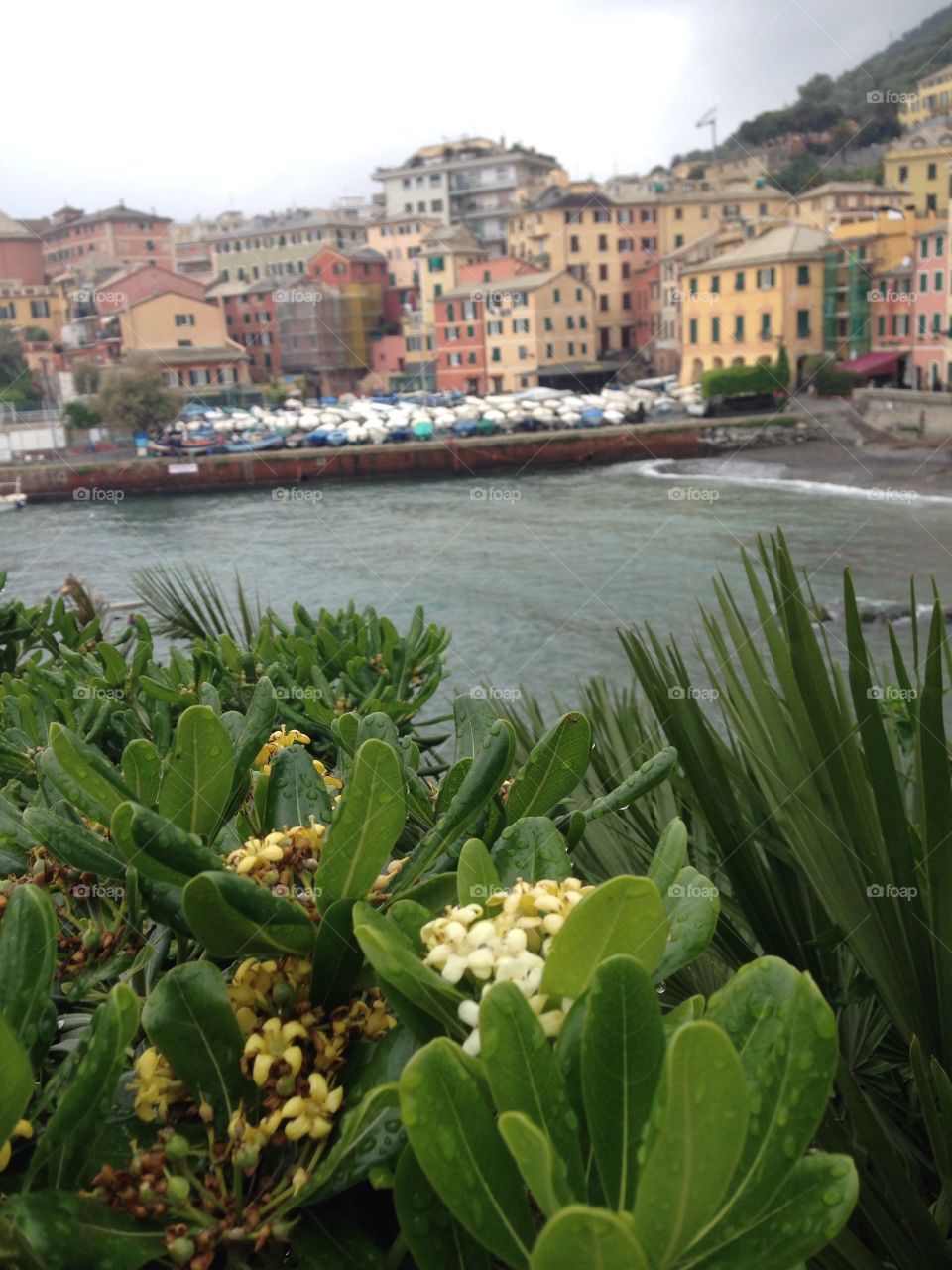 Nervi Genova Liguria