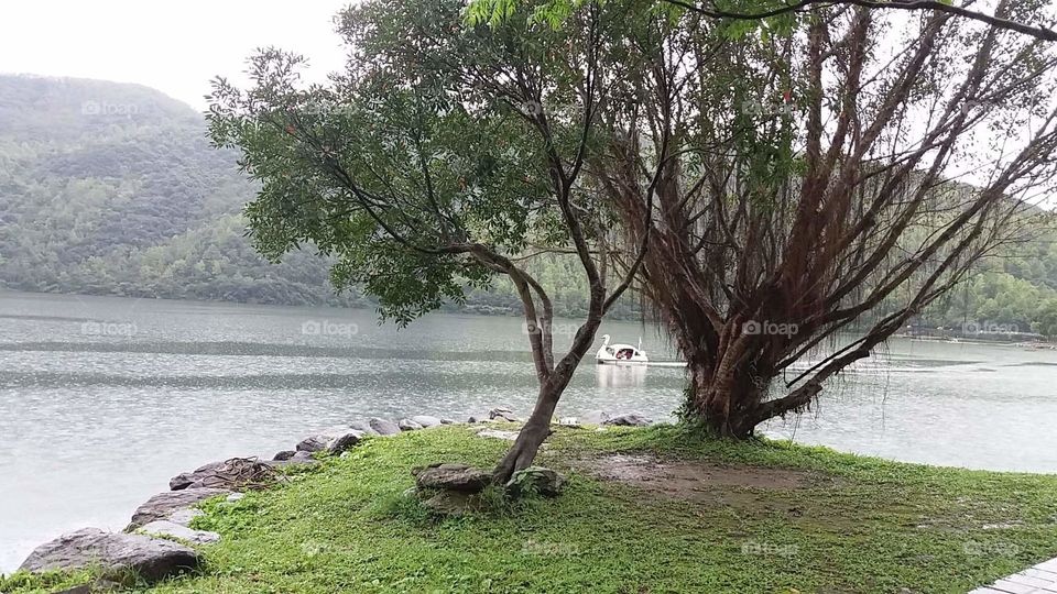 nice trees in the side of a lake