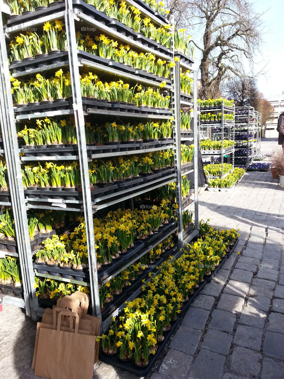 Market day
