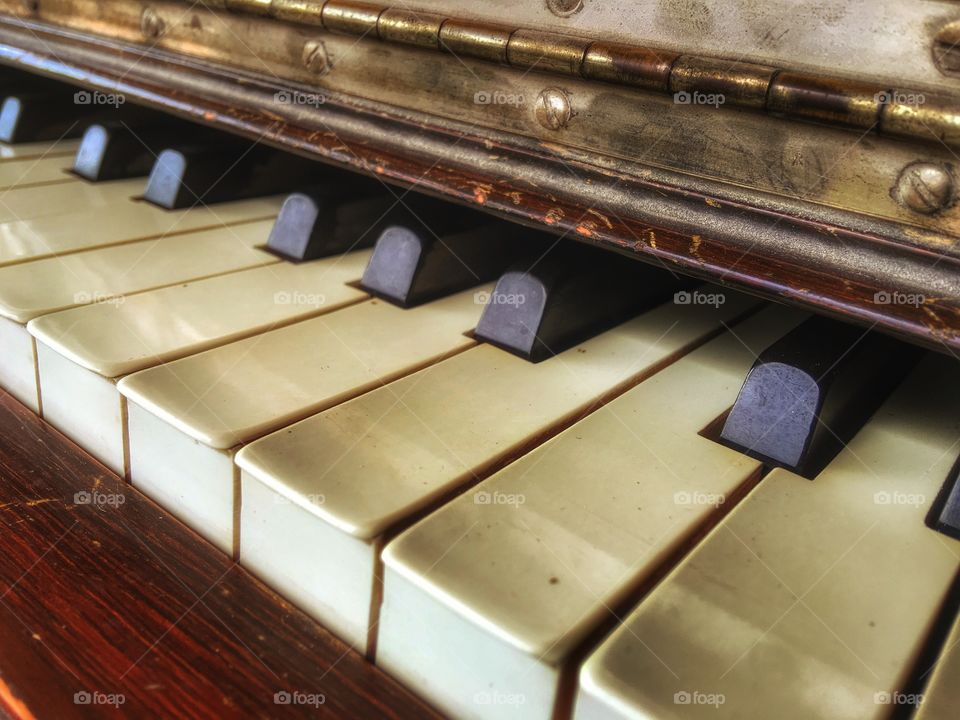 Ivory keys 
