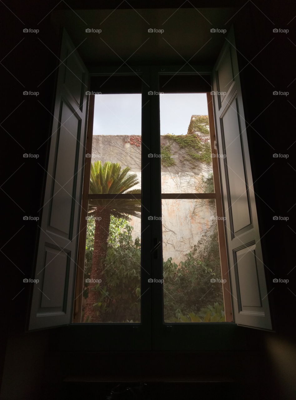 Afternoon. Watching out of the window in our ancient house in Presicce, Italy