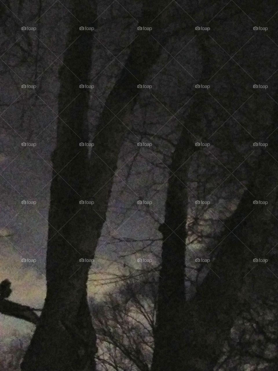 winter night with clouds