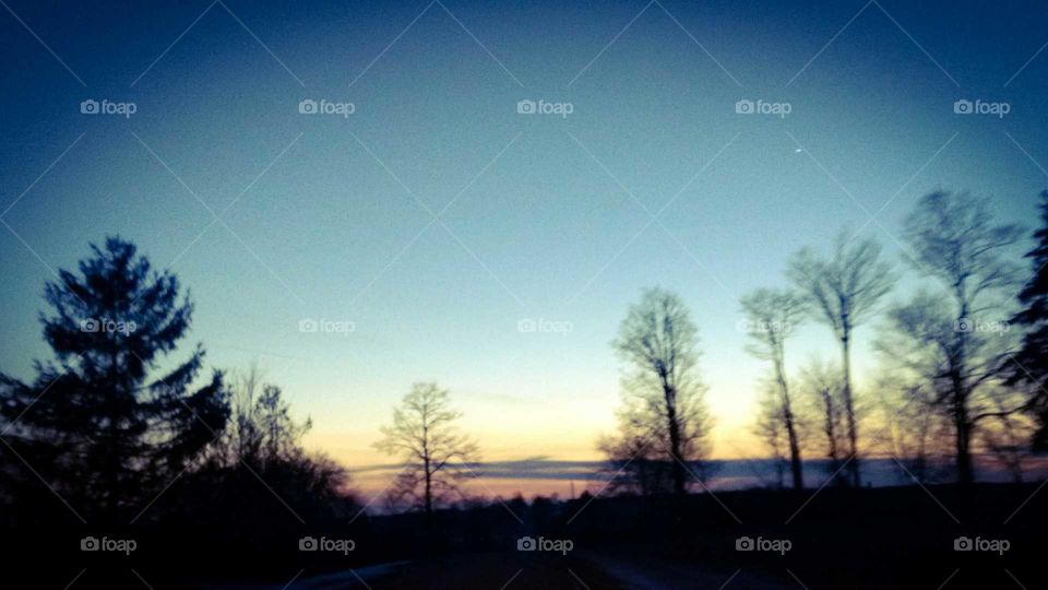 Tree, Landscape, Dawn, Nature, Sky