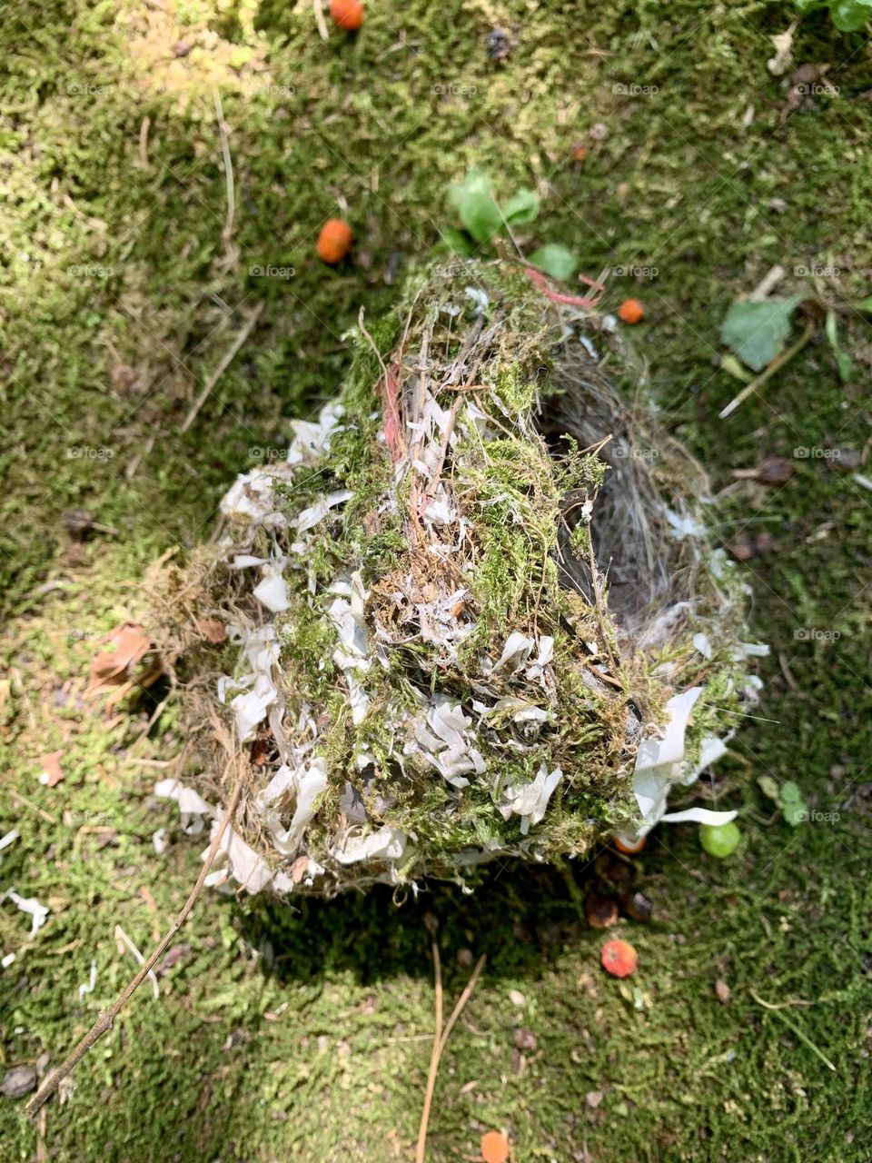 an abandoned bird's nest built with straws and bits of plastic