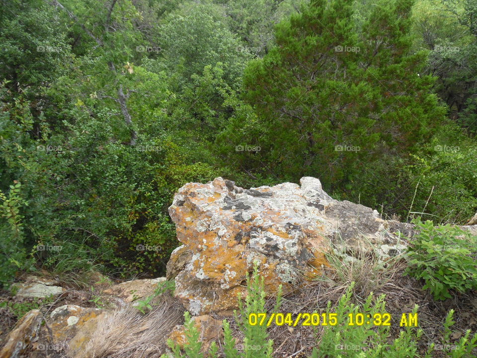 wildcatter ranch hotel 🏩. This is a good place to take a vacation and spend time ⌚ with the family 
👪