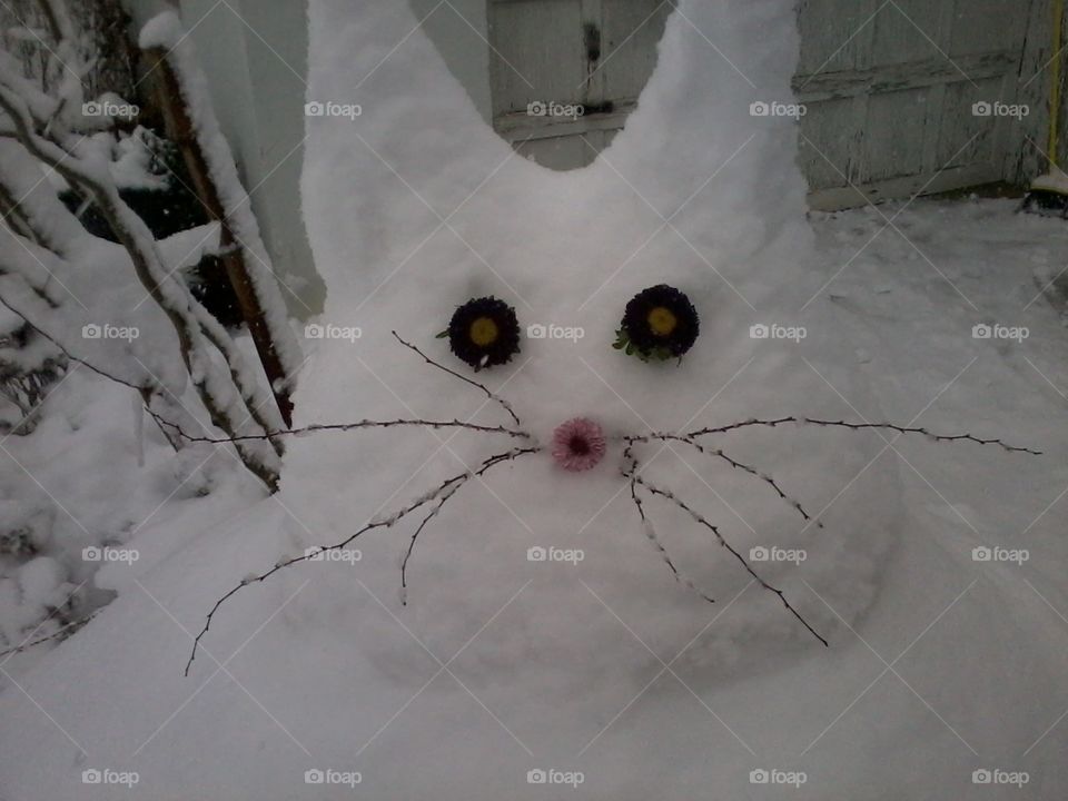Snow cat. This was made outside of the flower shop and finished with floral product. It was a slow day in production so we created this cat just for fun.