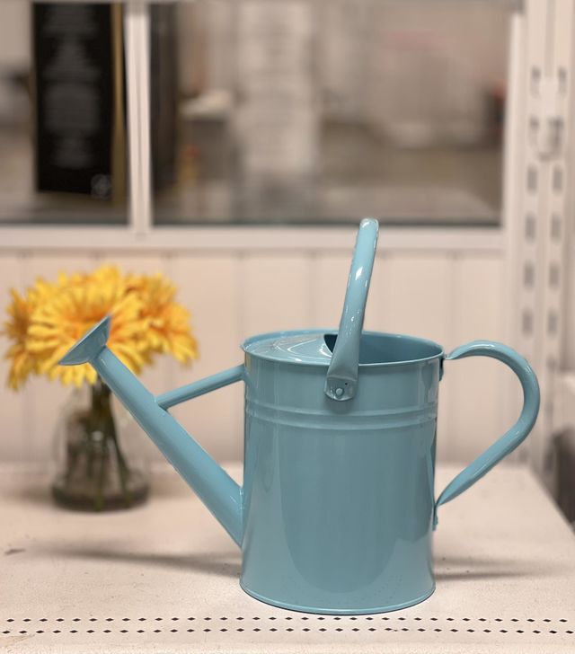 Time to water those flowers!