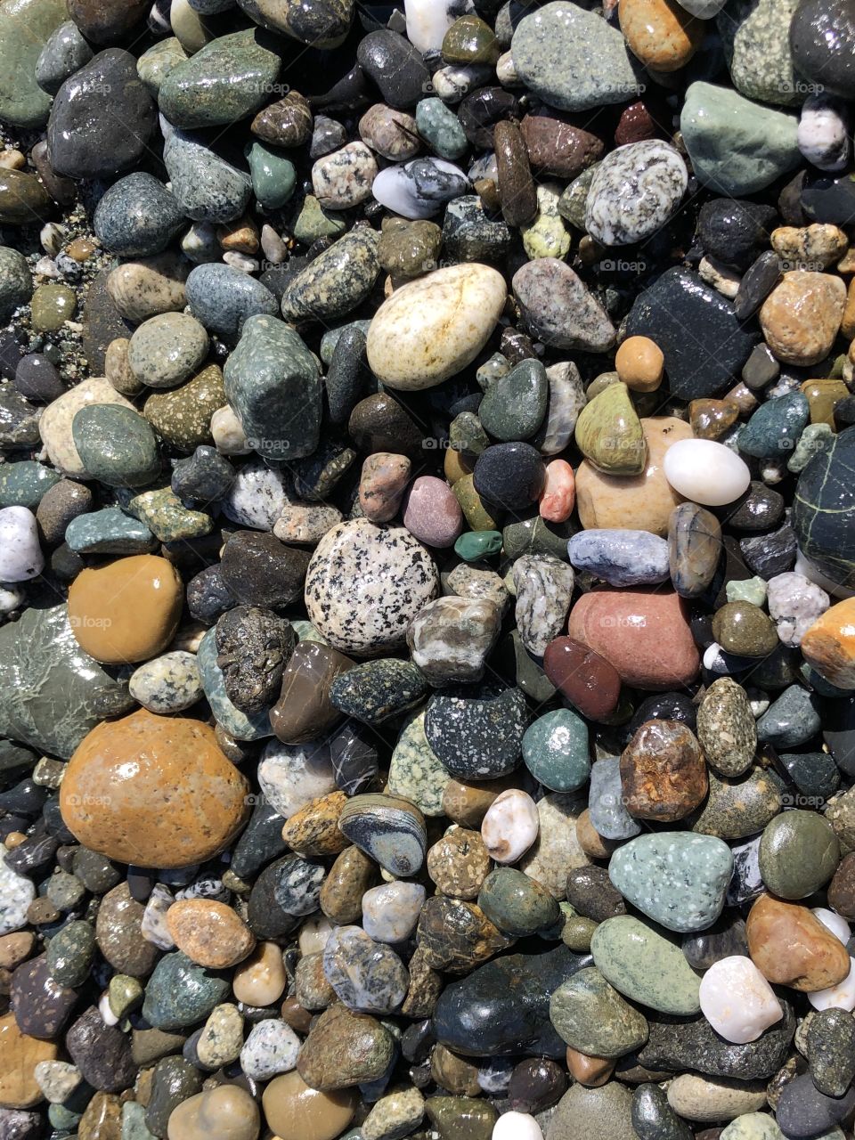 Colorful natural stones on a beach in the Pacific Northwest PNW