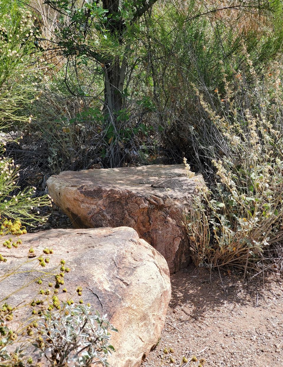 Two Boulders in the Desert