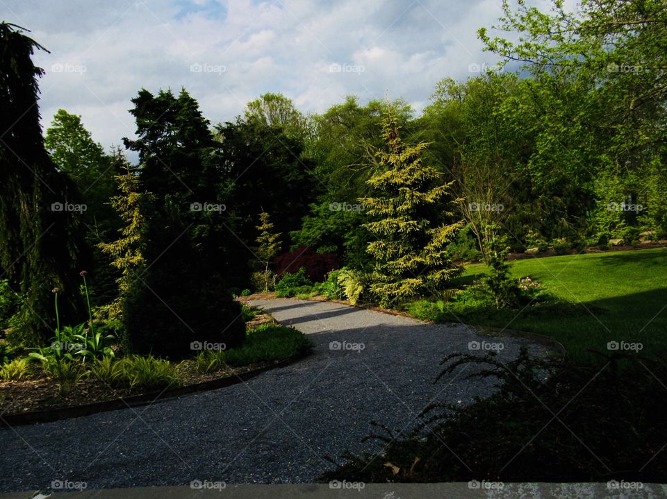 New York, Long Island, Nature, tree, plants, outdoors, calm, relax, shades, colors, Clouds, sky, path, view, architecture, 