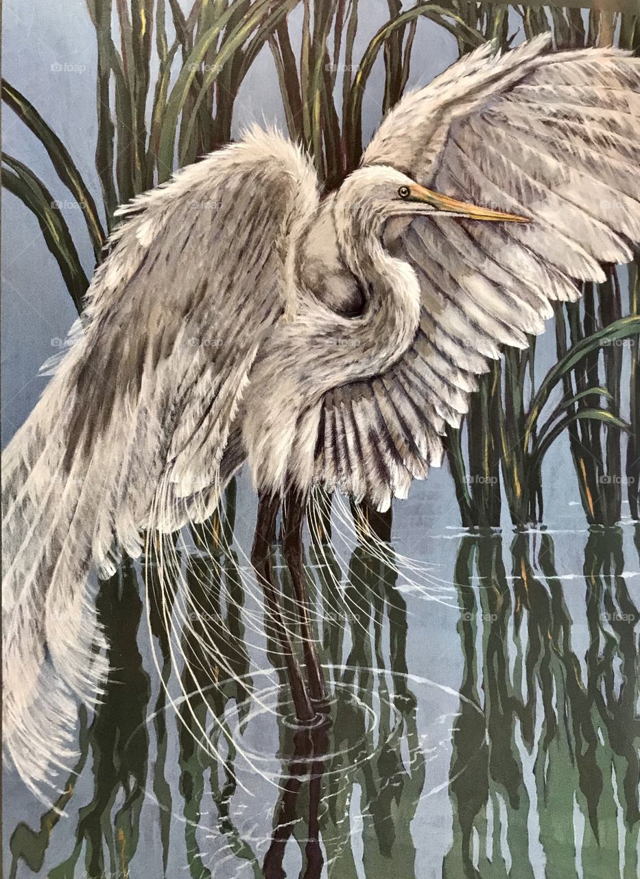 A picture taken of a painting of a Great Egret 