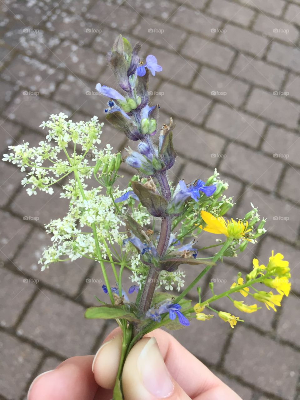 A wildflower bouquet