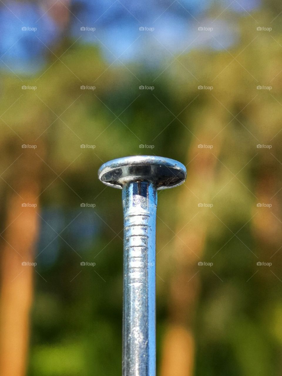 Steel nail against the background of the forest