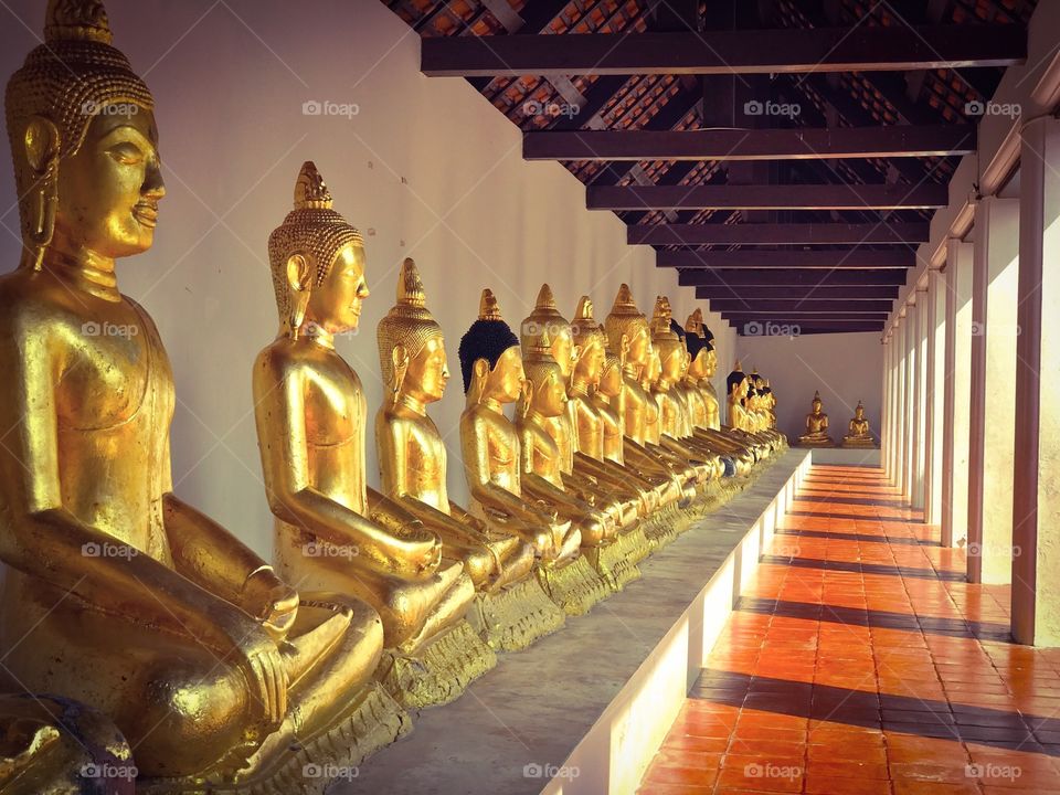 Row of Buddha images in temple
