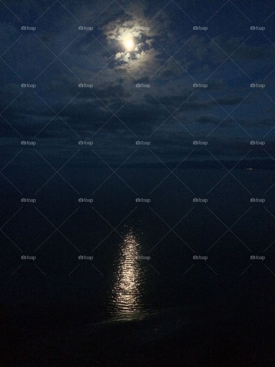 Moonlight over the Ocean