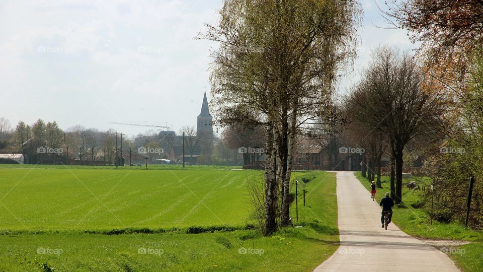 Road to the village