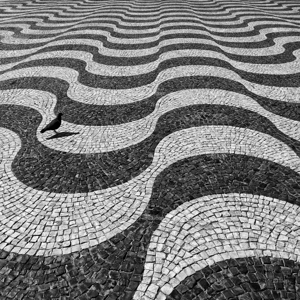 Pigeon on Traditional Portuguese wave cobblestone pavement in Lisbon, Portugal