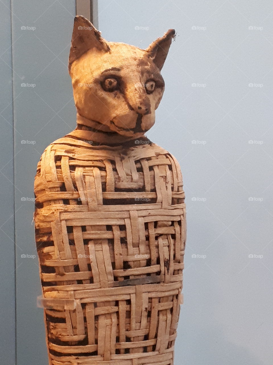 Mummified Egyptian Cat