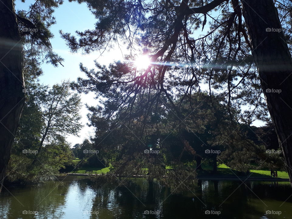 Sunlight And Water