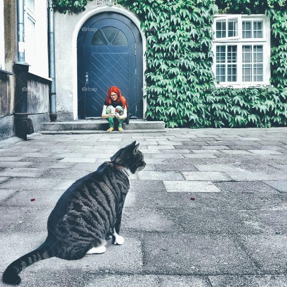 Woman photographing with cat