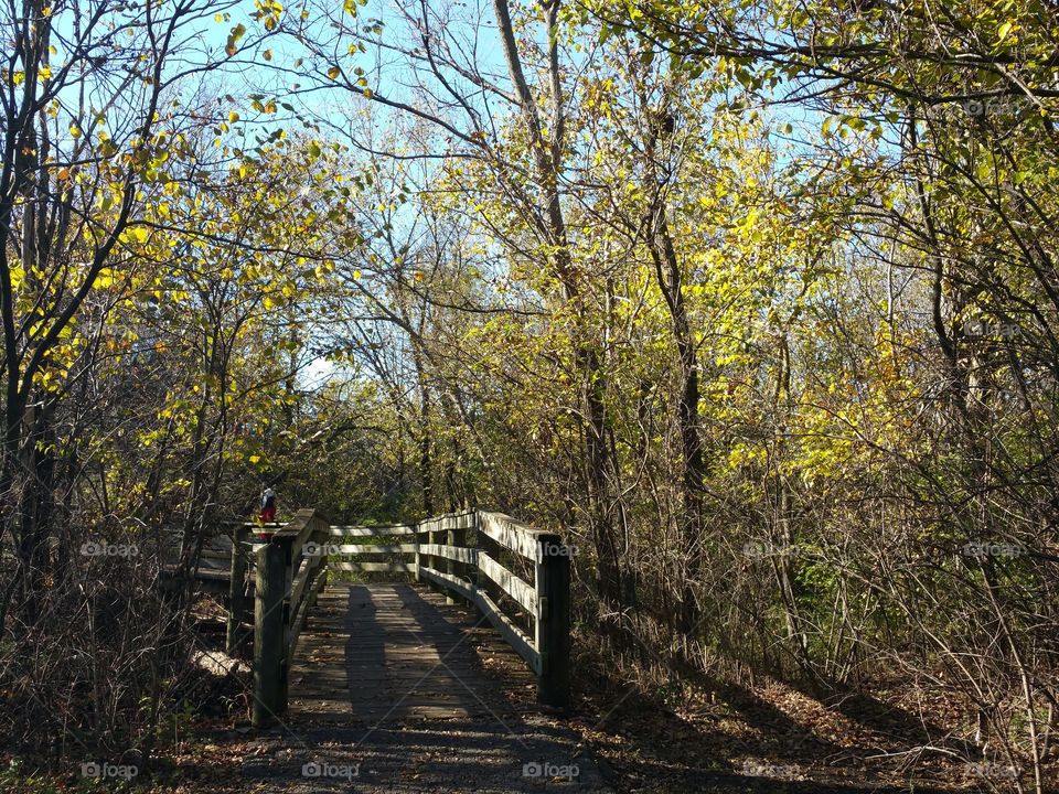 A day at the Park. Beautiful Fall day