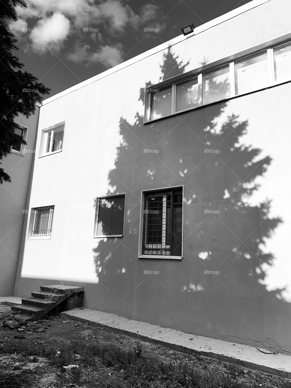 Tree shadow at building facade 