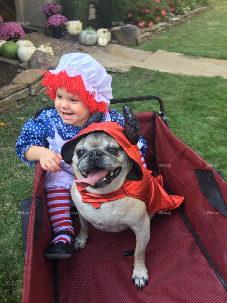 Off to a Halloween party with Raggedy Ann and her little devil dog