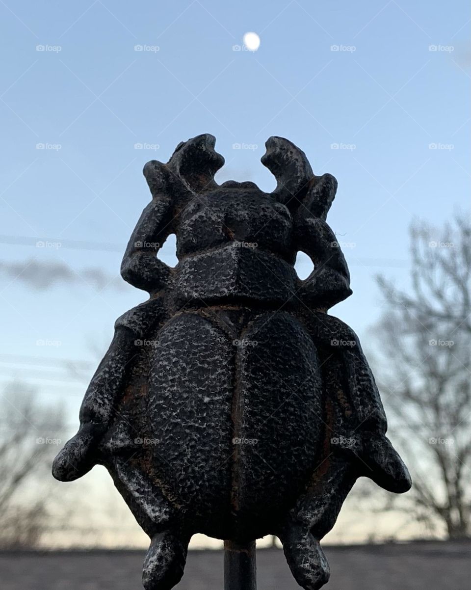 Ironwork Beetle reaches for the moon. The moon, however, is just a bit out of reach. 