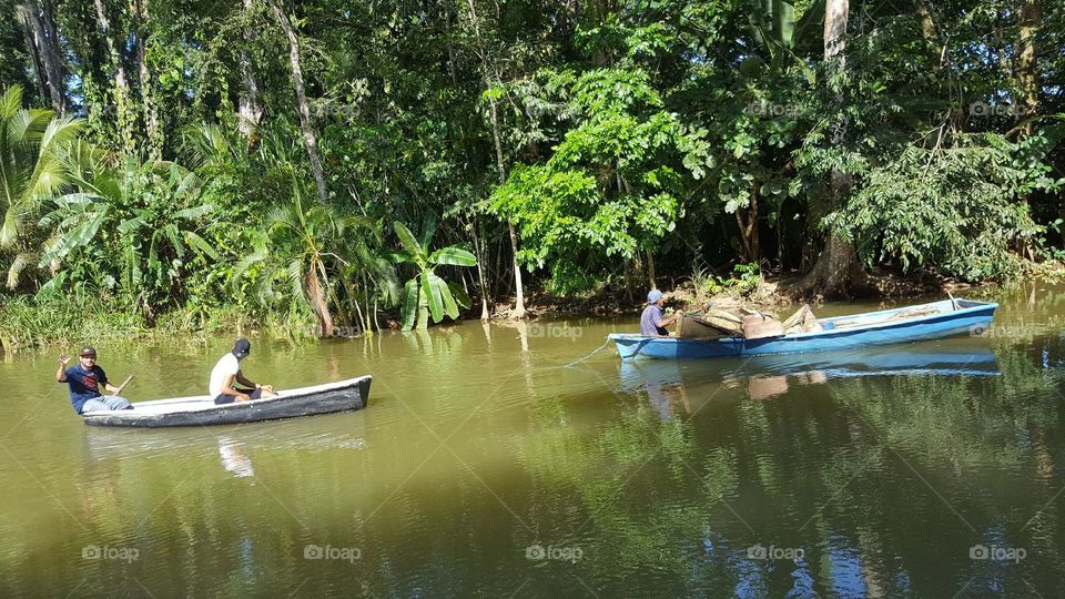 Canoe, Water, Recreation, Boat, Tree