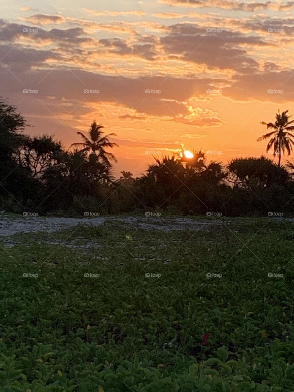 Evening sky beauty 