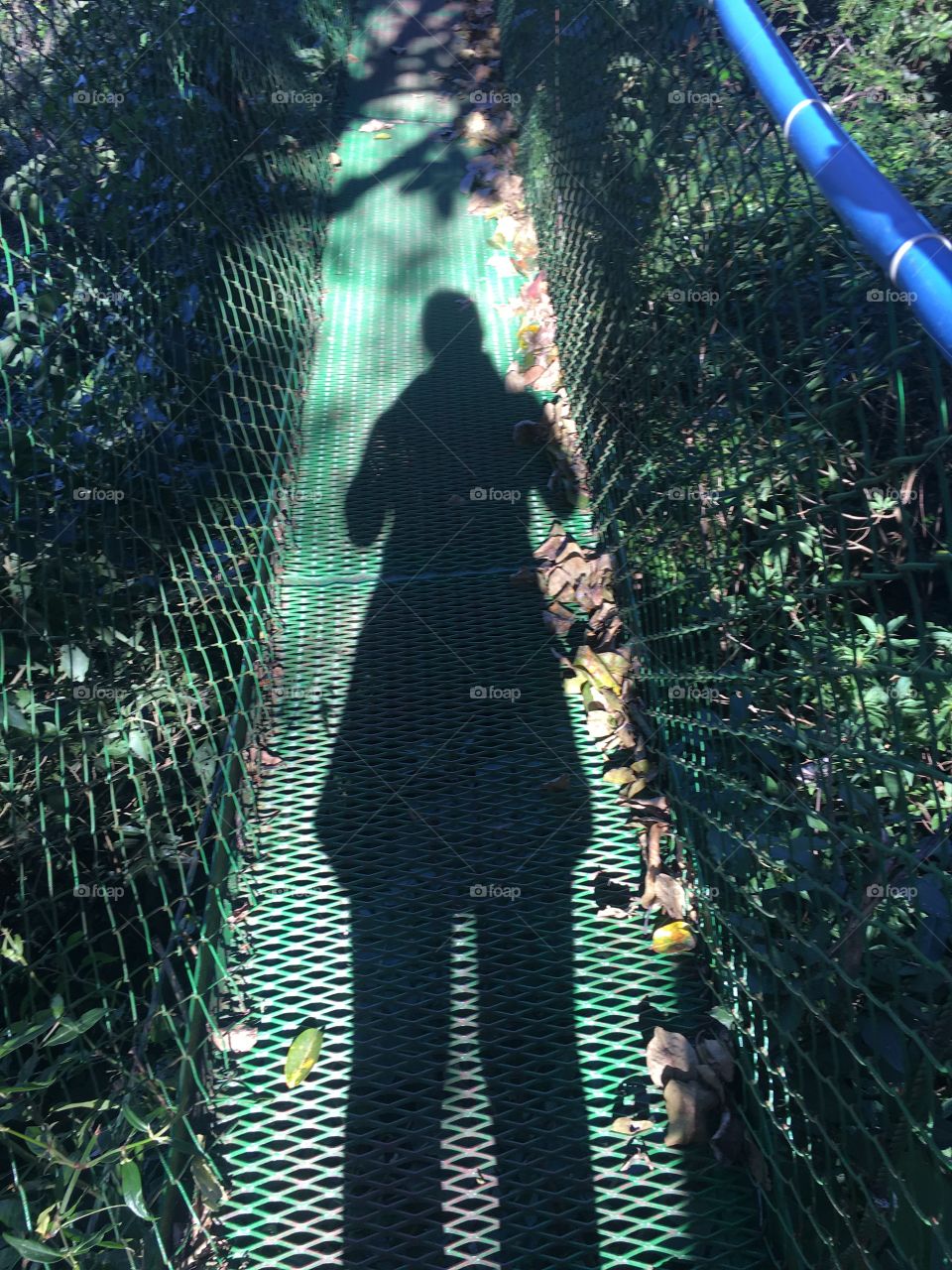Shadow on the suspension bridge 