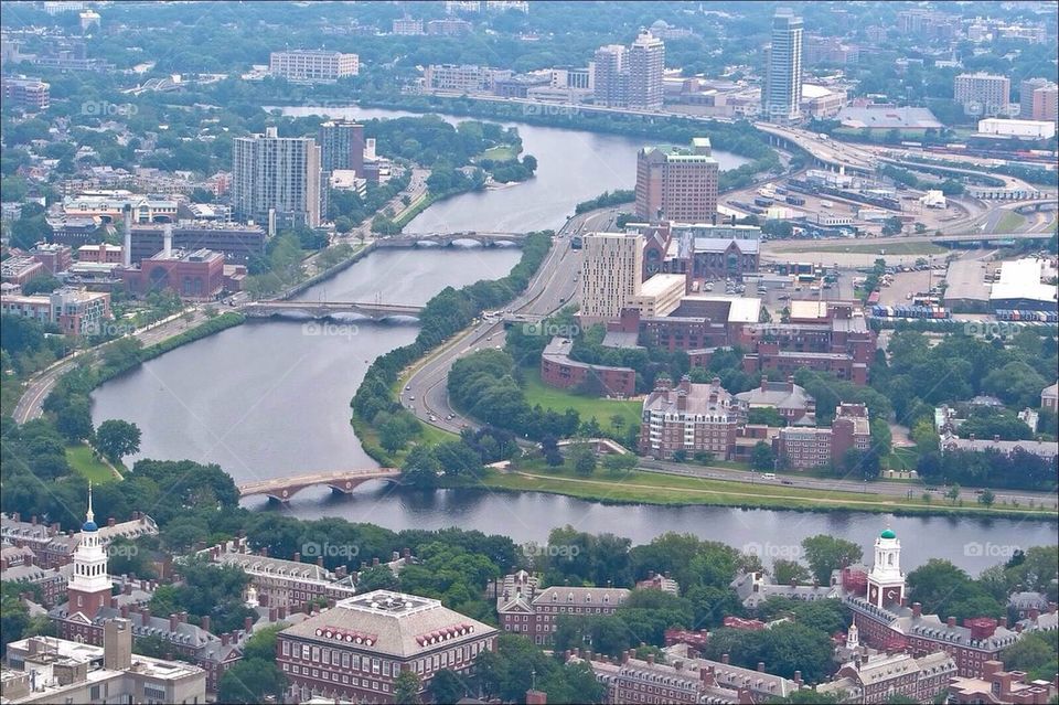 Bridges over The Charles